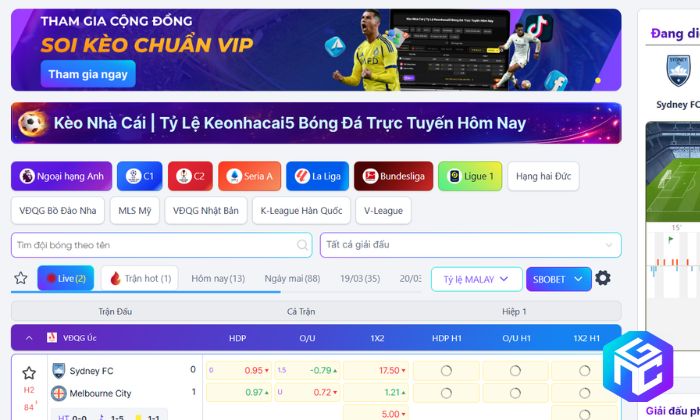 Thị trường cá cược trực tuyến hiện nay có nhiều biến động